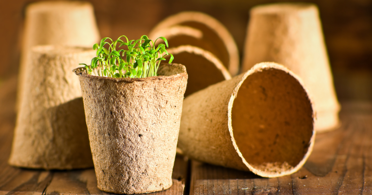 Compostable or Biodegradable?