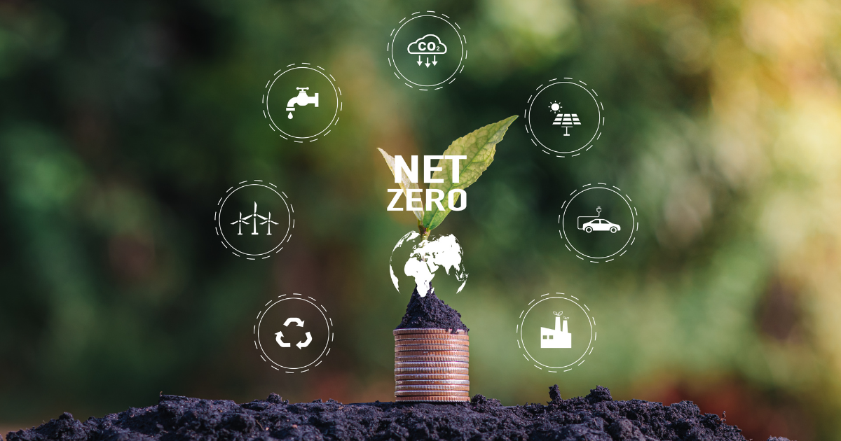 Net Zero Reality Check - Why Your Packaging Strategy Is Make or Break