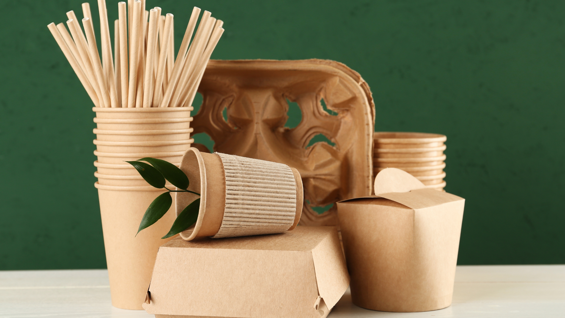 Compostable paper food packaging including cups, straws, trays, and containers—ideal for sustainable foodservice operations.