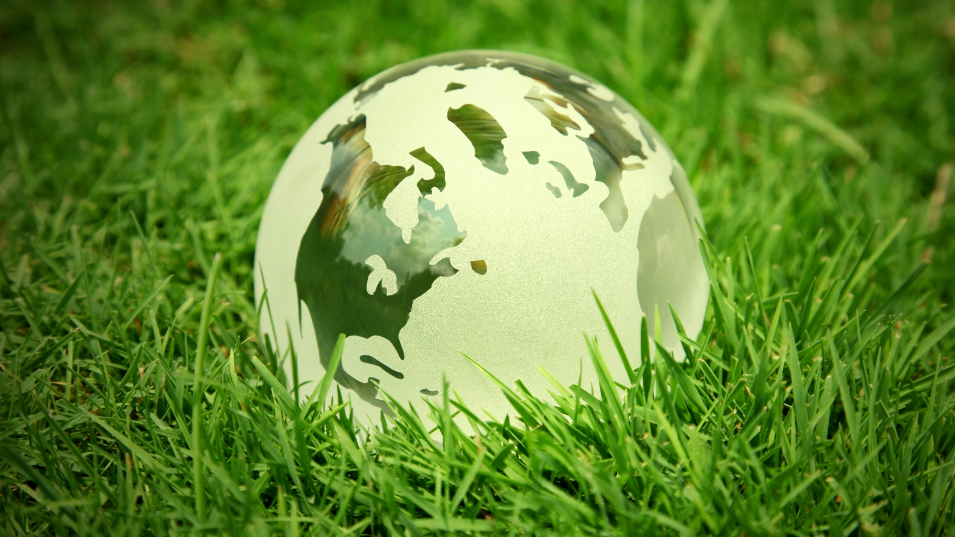 Globe on green grass symbolizing eco-friendly plastic alternatives and sustainable packaging.